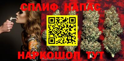 стафф Краснокаменск