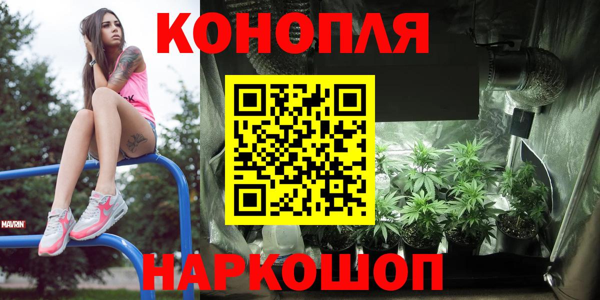 Шишки марихуана планчик Кандалакша